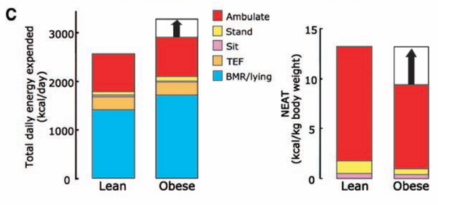 科普平谷｜一个比散步还简单的动作，改善体态、缓解肩颈痛！
