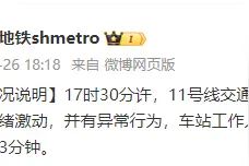 上海地铁11号线列车内一女子行为异常，影响列车运行3分钟图片