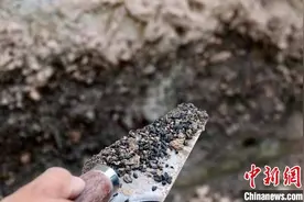 南佐遗址水稻遗存从何而来？研究称黄土高原五千年前气候适合种植图片