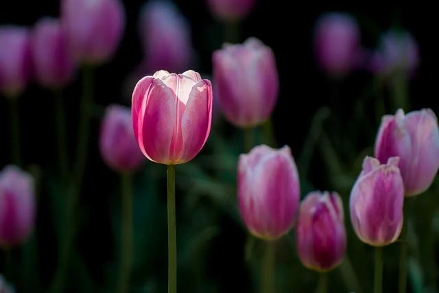 四时天工 扬州如画