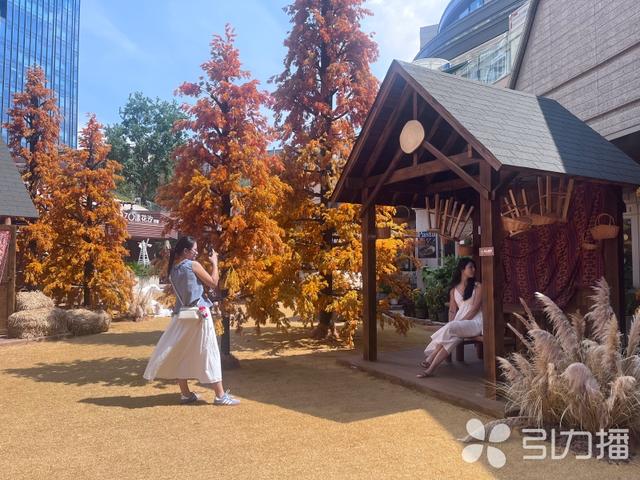秋日打卡去哪？“山下旷野牧场”解锁“苏州阿勒泰”浪漫
