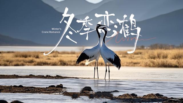 动物主题动漫开启“有一种叫云南的生活”