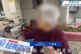 邻居家不住人只养猫，常年飘散恶臭味！武汉多名业主不堪其扰图片