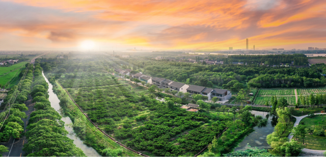 骑行天花板！这条5.6km治愈路线，串联森林与田园风光