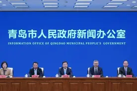 招建并进、惠企利民，李沧高质量发展步伐不断加快图片