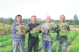 特色种植富村民图片