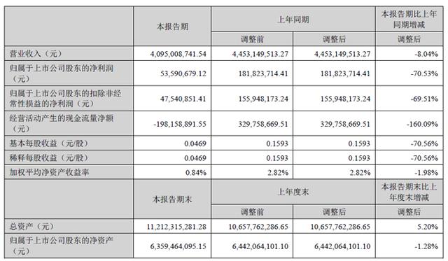 深天马、维信诺、创维数字、汇顶科技、全志科技等19家面板与显示芯片企业2025上半年财报一览