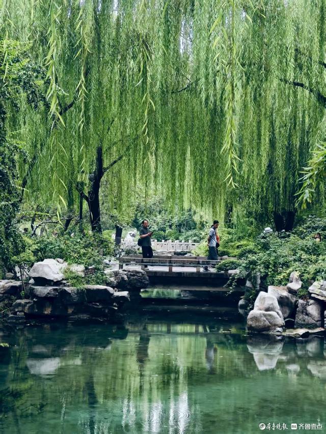 济南五龙潭，初秋好风光