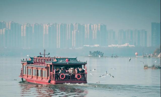 “鸥”来啦！游武汉“冬日限定”体验上线