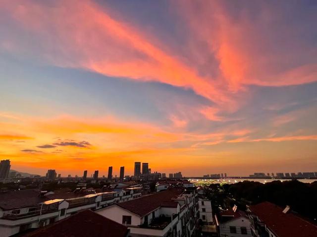 藏不住了！看一眼就“沦陷”！