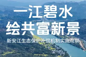 一江碧水绘共富新景——新安江生态保护补偿机制实施观察图片