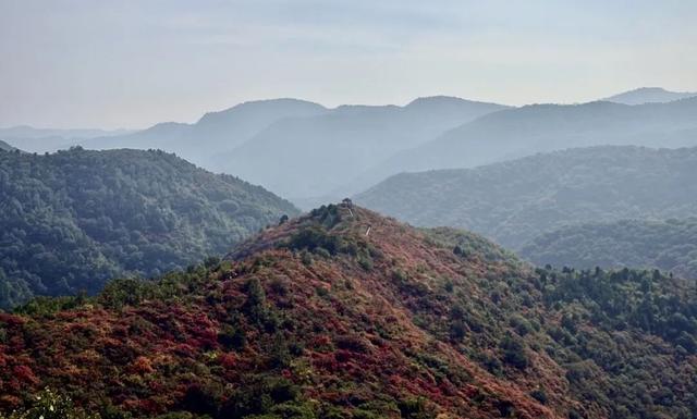 站前广场新盖一座小亭子，秋日出游更丝滑～