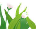 【便民信息】大荔暑期游线路，带你玩转夏日精彩～