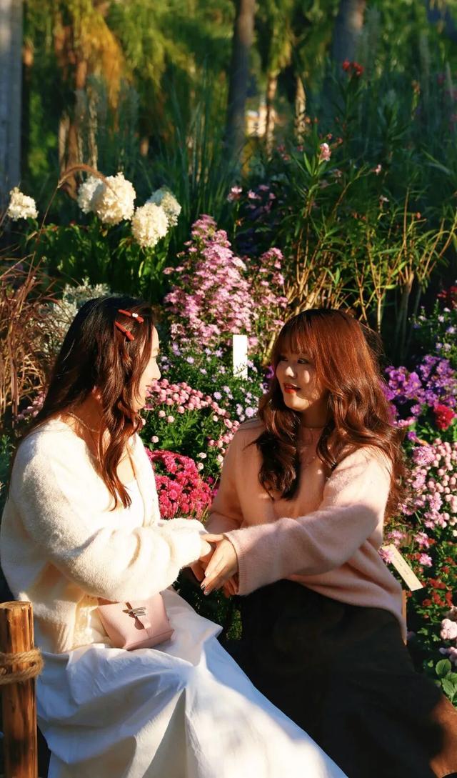 行摄 | 美爆了！秋日花海，限时上映