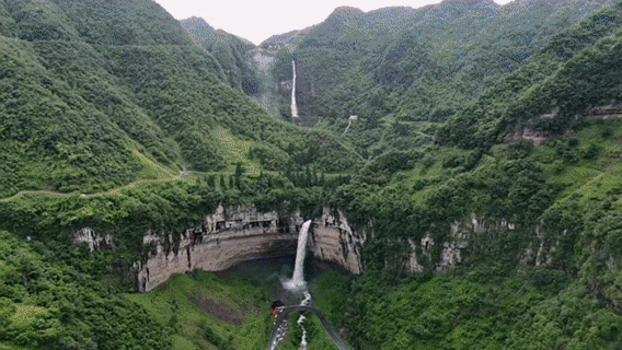 快看！毕节“变身”粉色花海