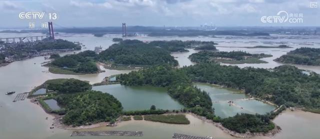 乘船追豚、红树林探秘、听潮观星……自然馈赠的惊喜燃动滨海旅游消费热力