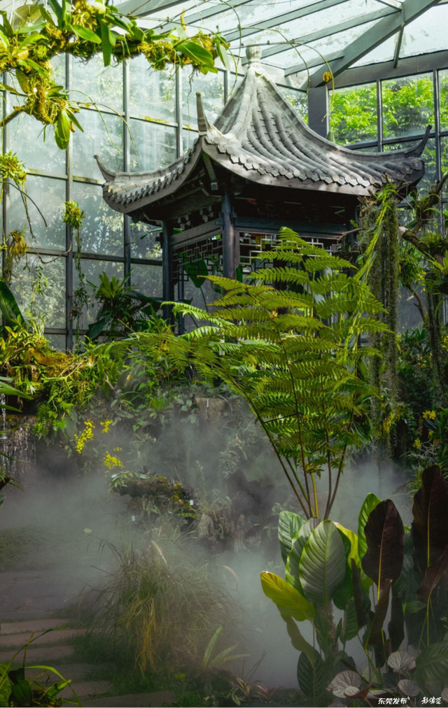 东莞植物园又“粉”了，是时候出发了！