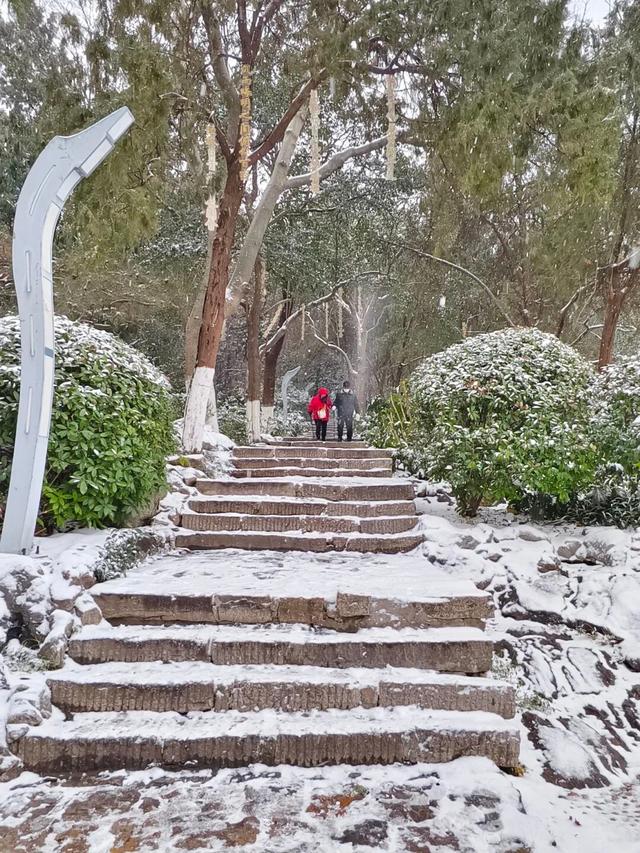 看！徐州最美雪照，每张都可做屏保！