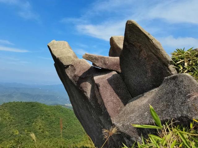 计划年底开放！大湾区首个“香养”度假区就在高明，亮点提前揭秘→