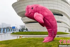 “大黄鸭之父”新作《粉色江豚》长沙揭幕图片