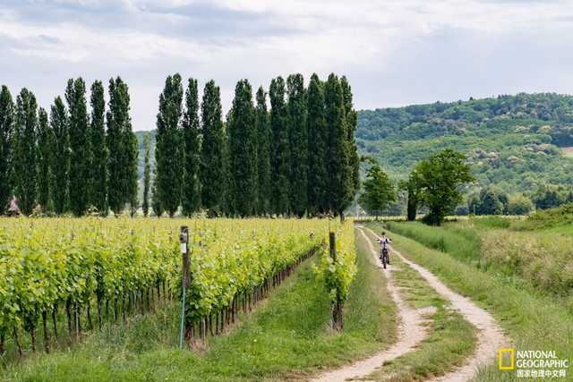 “无国界”意大利小镇，一场慢骑行的完美起点