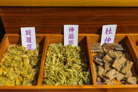 “果冻河”上线！朱家角6大景点“焕新升级”