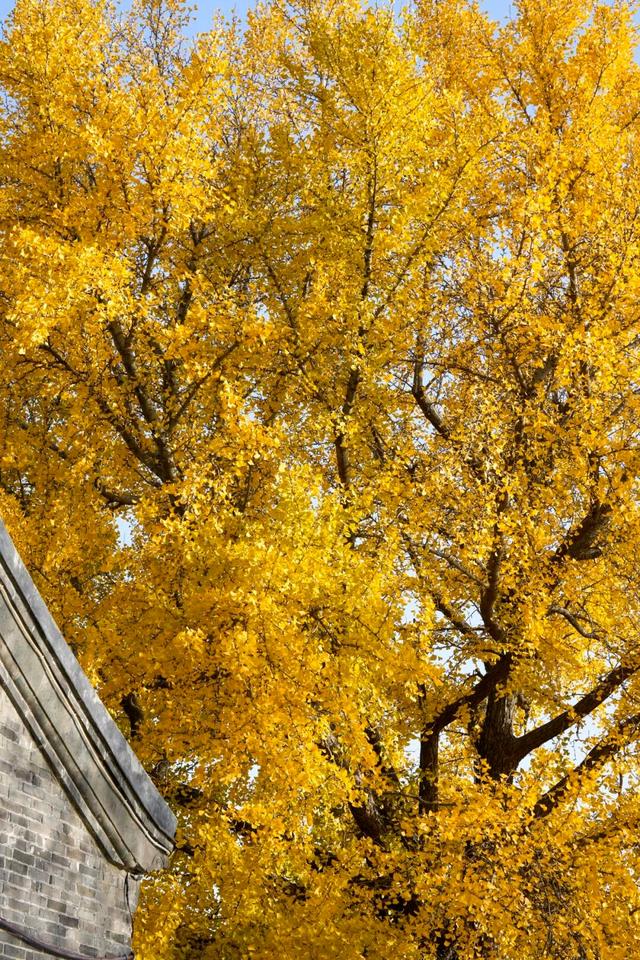 出片率100%！海陵“含金量”在上升！