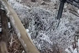 广东“下雪”了？粤北冷出了雾凇冰挂，广州明晨或迎6℃低温图片