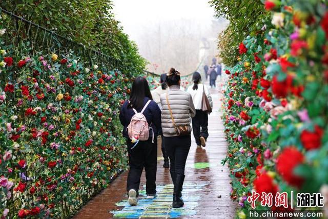 湖北利川佛宝山：丛林飞瀑引游人