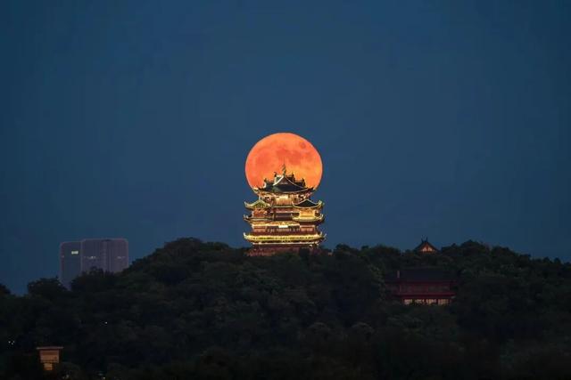 年年爆火！即将回归！西湖边这一幕又将刷屏