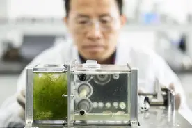 “太空养鱼”水样样本回收 武汉“鱼航员”顺利完成太空实验图片