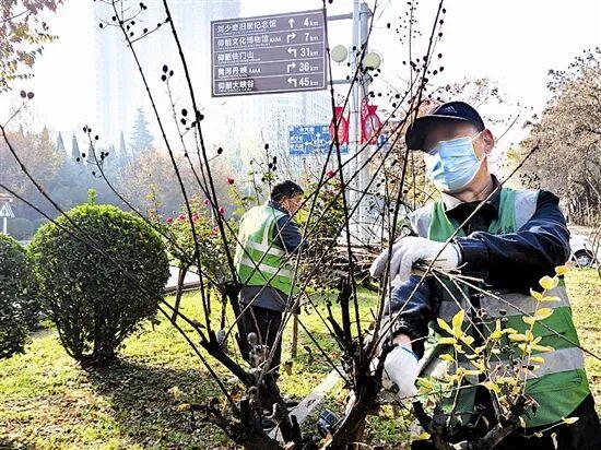 光影中的三门峡（546）