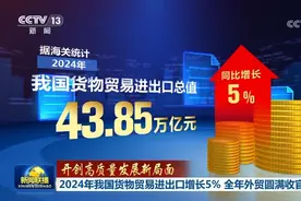 2024年我国货物贸易进出口增长5% 全年外贸圆满收官图片