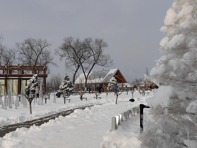 漫步永定河畔，沉醉雪后美景