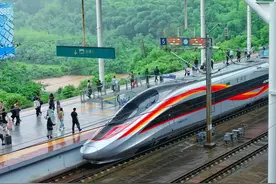 株洲西站只有“G“字头列车，“D、C、S、Z、T、K”开头列车全在株洲站图片