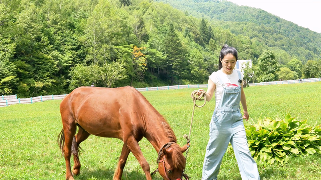 优享盛夏 清凉白山丨挖到长白县神仙露营地！在四海为家躺平的快乐，谁懂啊～#长白山下长白县