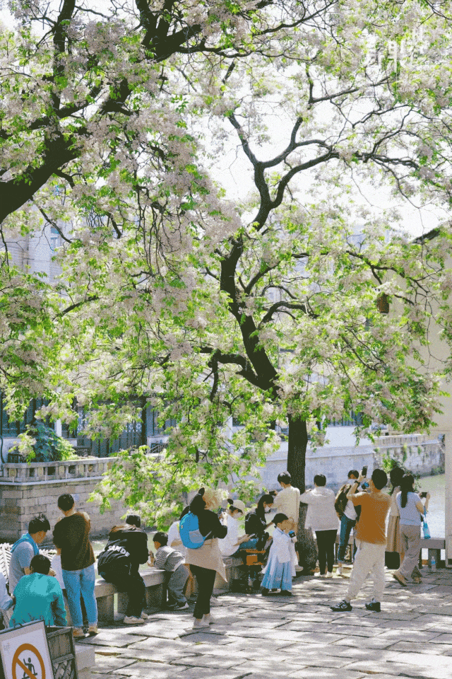“青”读常州 | 在地标里遇见千年故事