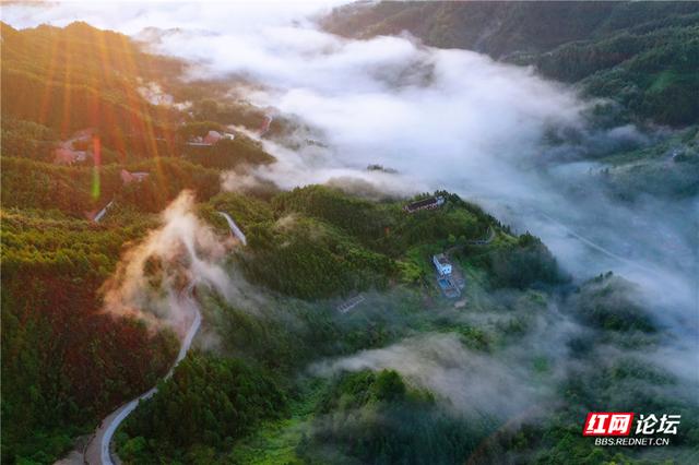 【每日一图@湖南】青娥山晨雾漫卷，定格天地间水墨丹青