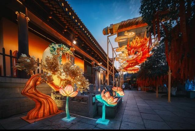 门东新“顶流”！一棵美到让全南京排队围观的树！