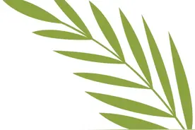 鸡蛋这么吃太过瘾了！简单几步做成“花篮”，仪式感十足！图片