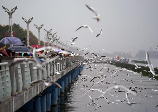 一周图片｜神舟廿一叩苍穹，载人航天再启新程