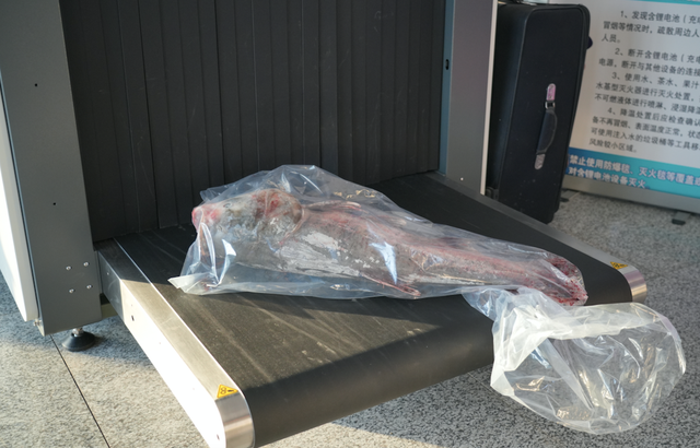 等等！安检仪里刚刚过去了啥？