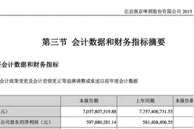 燕京啤酒U8之后仍需寻找新爆款图片