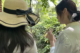 胶囊药壳做成花卉标本，青岛“00后”女生打造“植物王国”图片