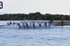 加速、百米冲刺、踏浪奔腾 一个视频告诉你“天马浴河”有多热闹图片