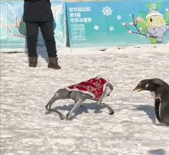 走，这个周末，一起在北京滑滑梯！