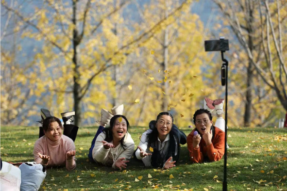 宜宾，含“金”量超高！