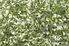 解锁槐花新吃法 每一口都是春天的味道!图片