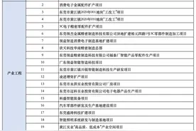 总投资124亿！2025年黄江镇重大项目计划出炉图片