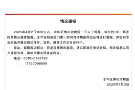 2岁黑熊出逃！河北一动物园最新通报→图片